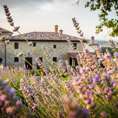 Torre Piantarosa Mercatello (Marsciano)